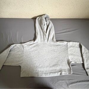 ALO Yoga Cropped Hoodie